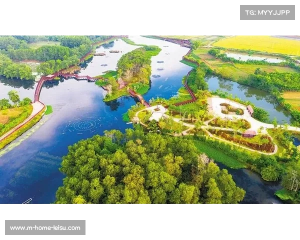 澄迈乡村排球联赛：椰乡好物市集助推农文体旅融合